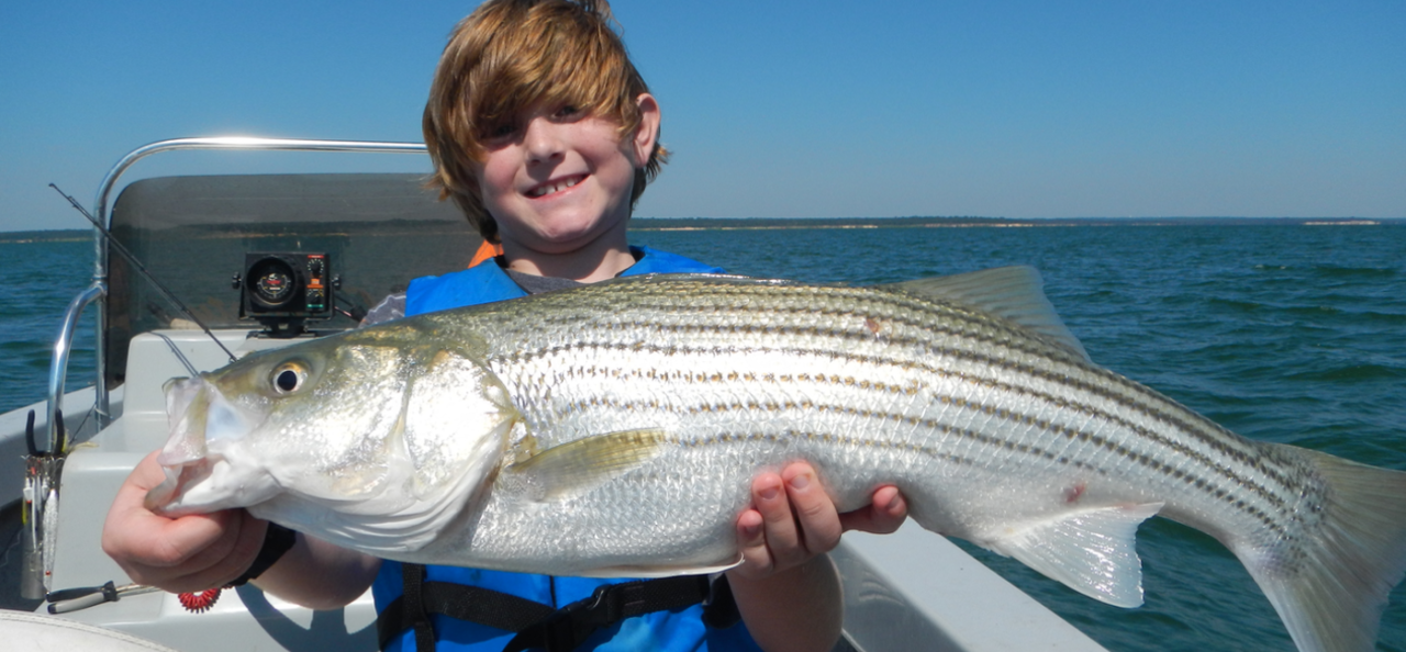 Look for the Best Lake Texoma Fishing Report? Striper Express