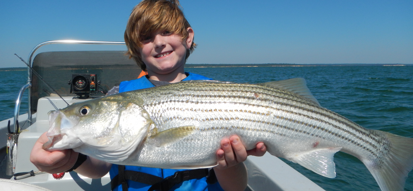 Lake Texoma Striper Fishing Report