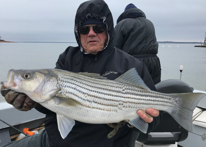 Lake Texoma Striper Fishing Guide-Winter Journal-Chris Carey