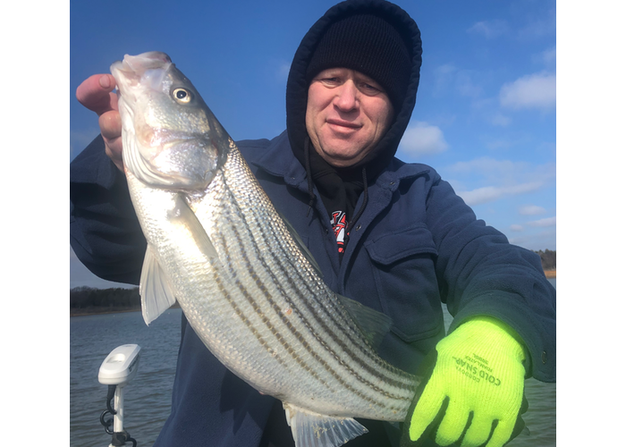 Lake Texoma Striper Fishing Guide-Winter Journal