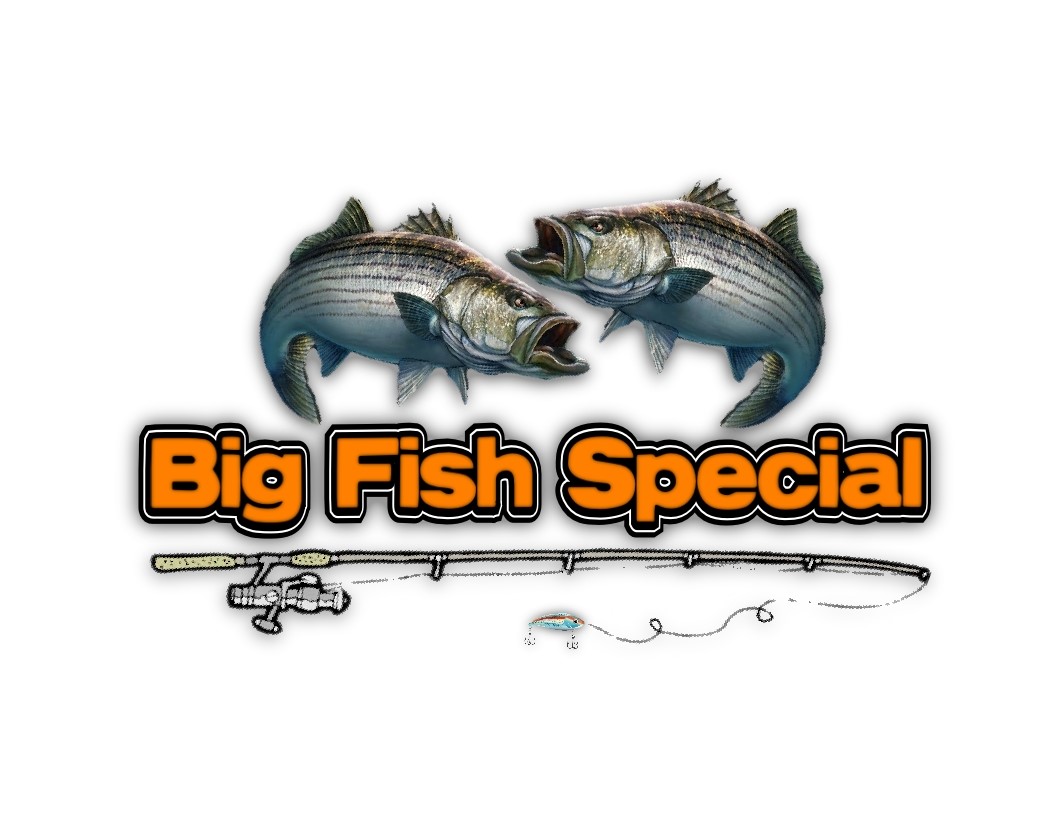 Striper Express-Big Fish Special-Lake Texoma Fishing Guides