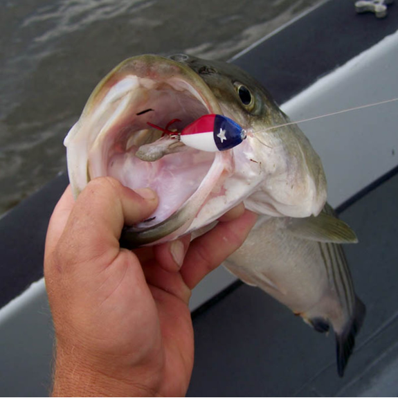 Looking for the best Lake Texoma Fishing Guides?