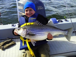 The Best Lake Texoma Fishing Guides-Striper Express